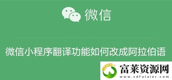 微信小程序翻译功能如何改成阿拉伯语