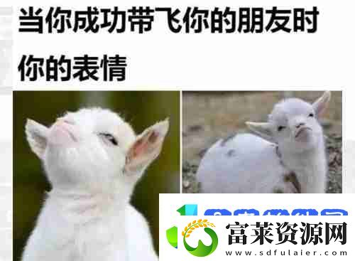 当你成功带飞你的朋友时表情包