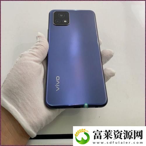 “成色好的Y31