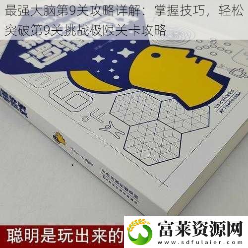 最强大脑第9关攻略详解