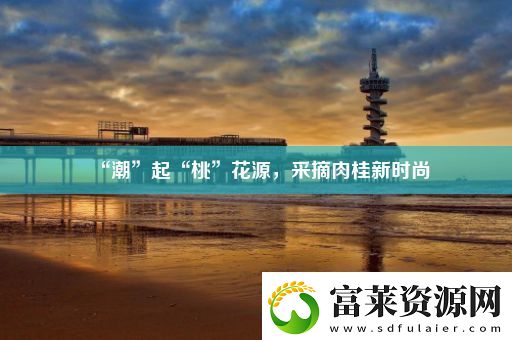 “潮”起“桃”花源