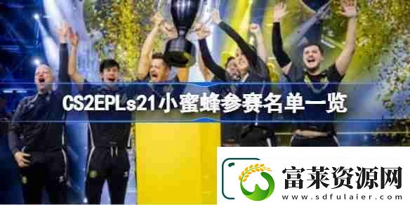 CS2EPLs21小蜜蜂参赛人员有哪些