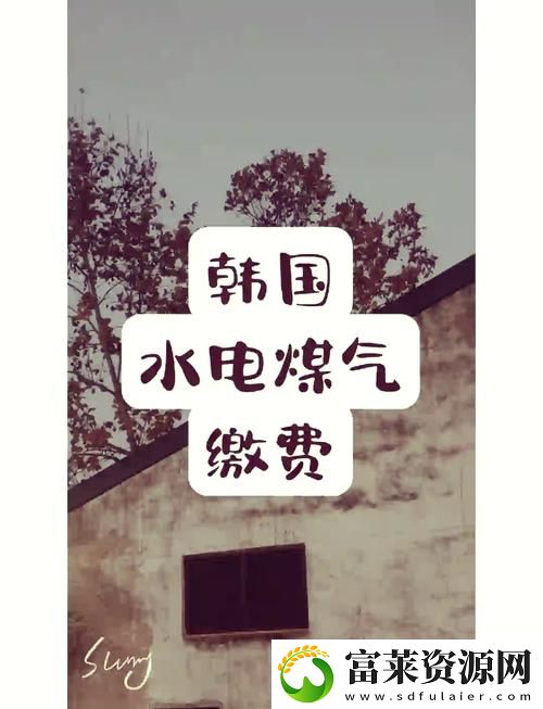 后好看的韩国三色电费