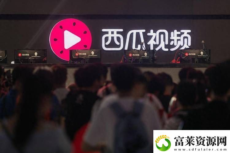 探寻最好看的免费观看西瓜