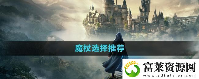 霍格沃茨之遗魔杖哪个好