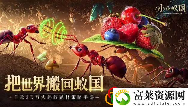 小小蚁国兵种怎么孵化