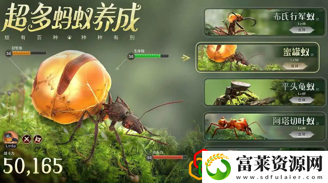 小小蚁国野怪选哪个好