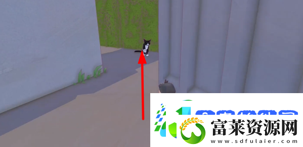 小猫咪大城市日常美容动作怎么获得