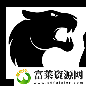 Swani访谈