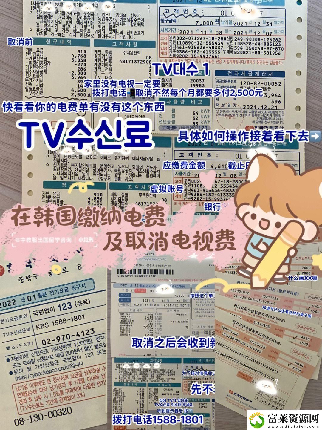 “韩流狂潮