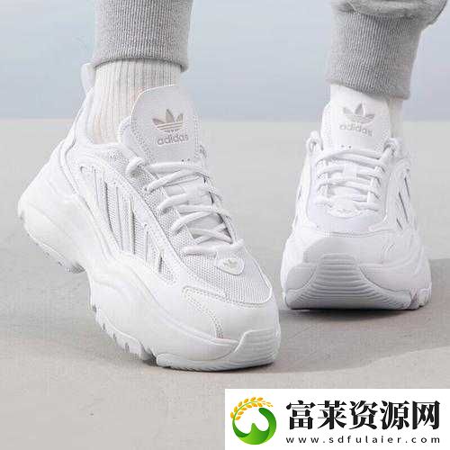 三叶草