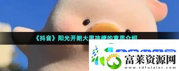 抖音阳光开朗大男孩是什么意思