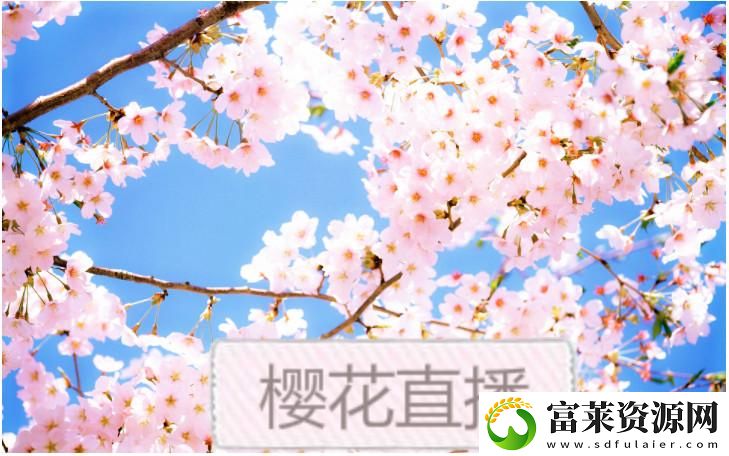 樱花直播APP