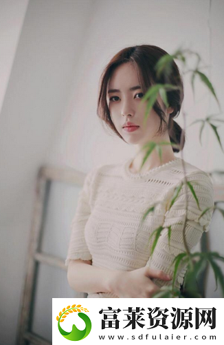 三年成全免费高清大全一键畅看无门槛！网友