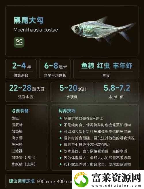 又大又长又粗又大又黑且极具特色的奇妙事物