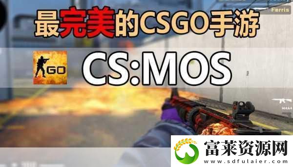 17岁俄罗斯CSGO选手