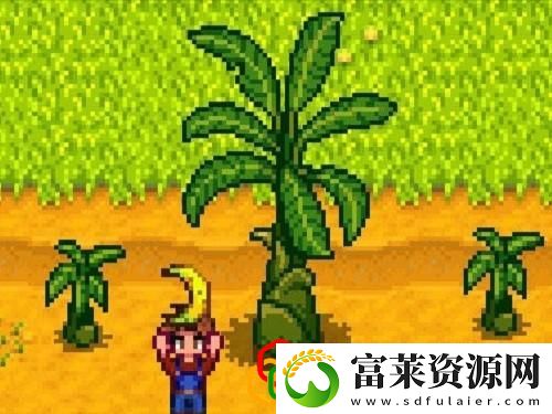 ns星露谷物语新手教程