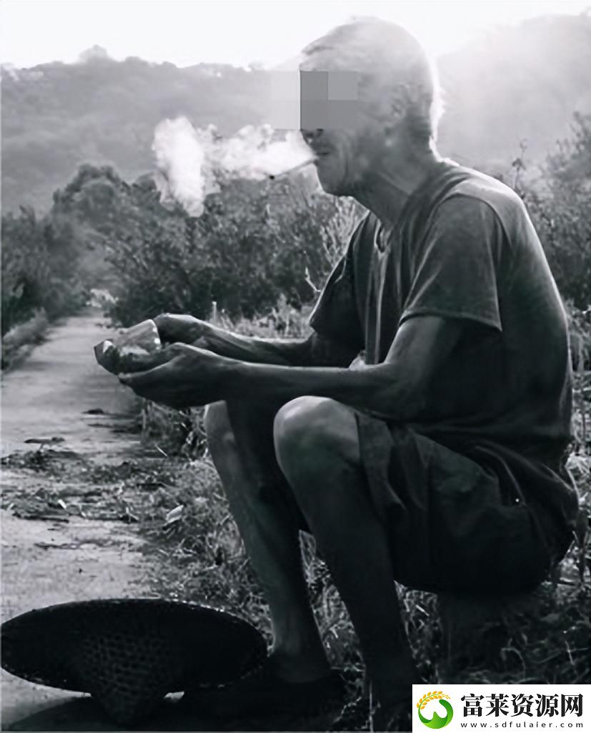 82岁高科技狂人猎艳记