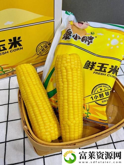 及时行乐NHP玉米