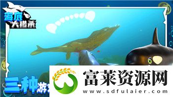 双生视界女仆装丽达的样式分析与设计灵感