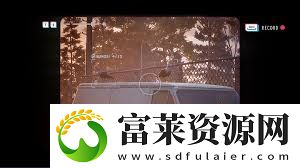 失落的记录中松鼠收藏品位置