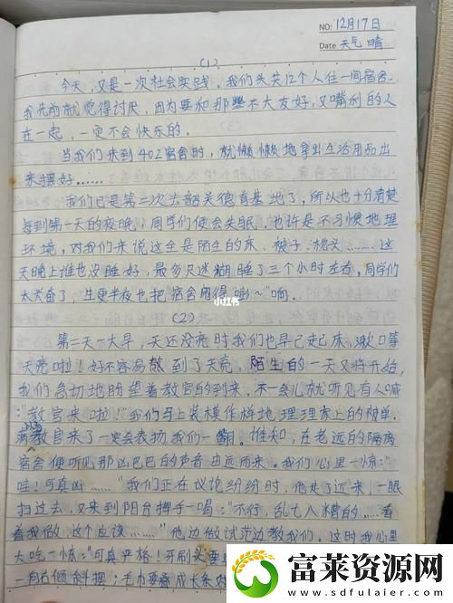 探索内心的波澜——小丹的被躁日记1