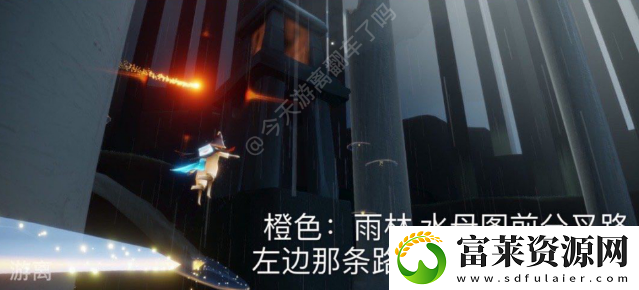 光遇11.30每日任务是什么
