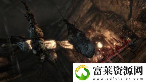 古墓丽影沿岸森林五个秘宝在哪里