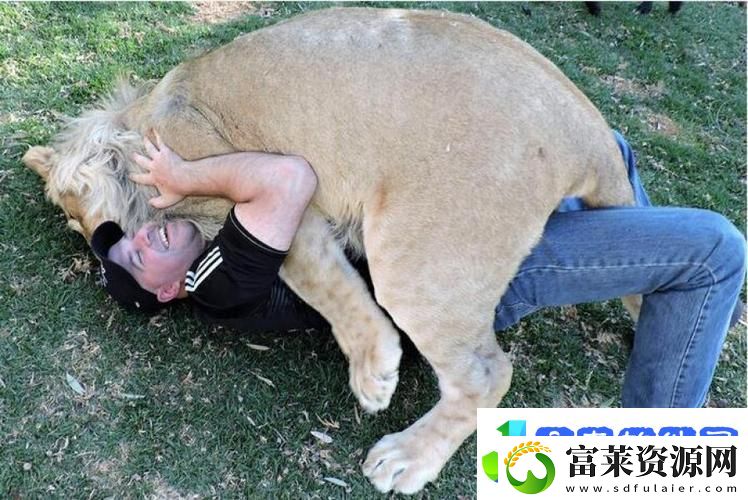 内容丰富人野兽马狗猪