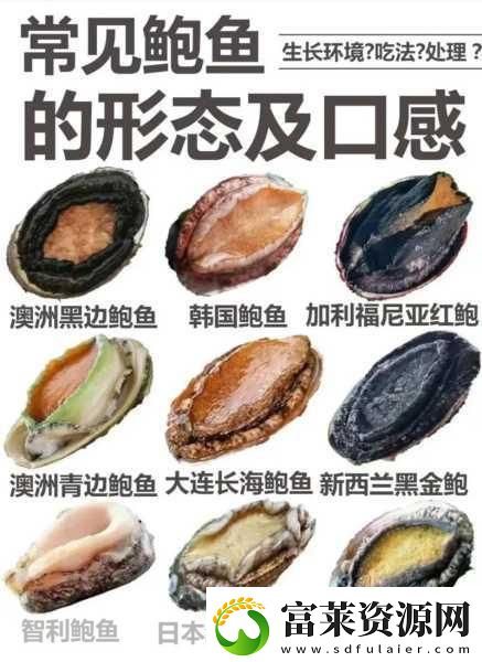 希望你的鲍鱼里没有别人的牛奶