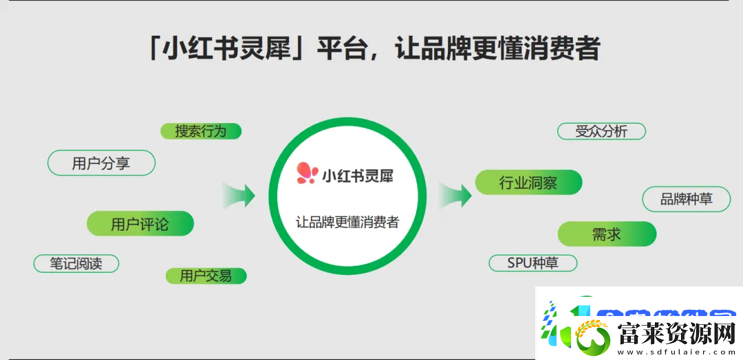 小红书灵犀全量开放中