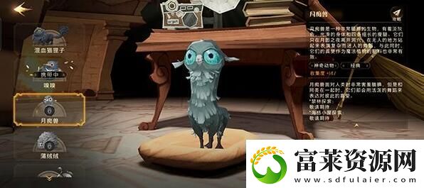 图解！哈利波特魔法觉醒魔法灯谜会答案是什么