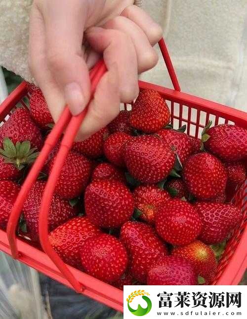 草莓湿漉漉是好事还是恶性
