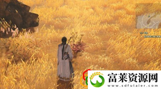古剑奇谭3光明野之巡详细过法流程