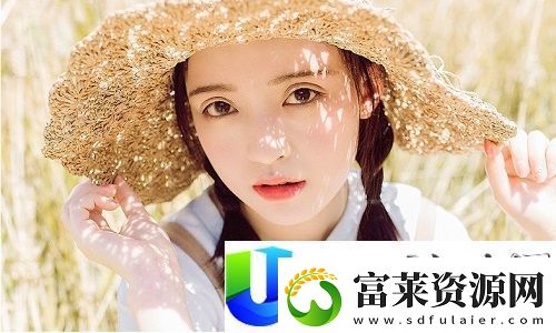 韩国理论大全成热门文献