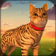 猫咪收集2攻略大全