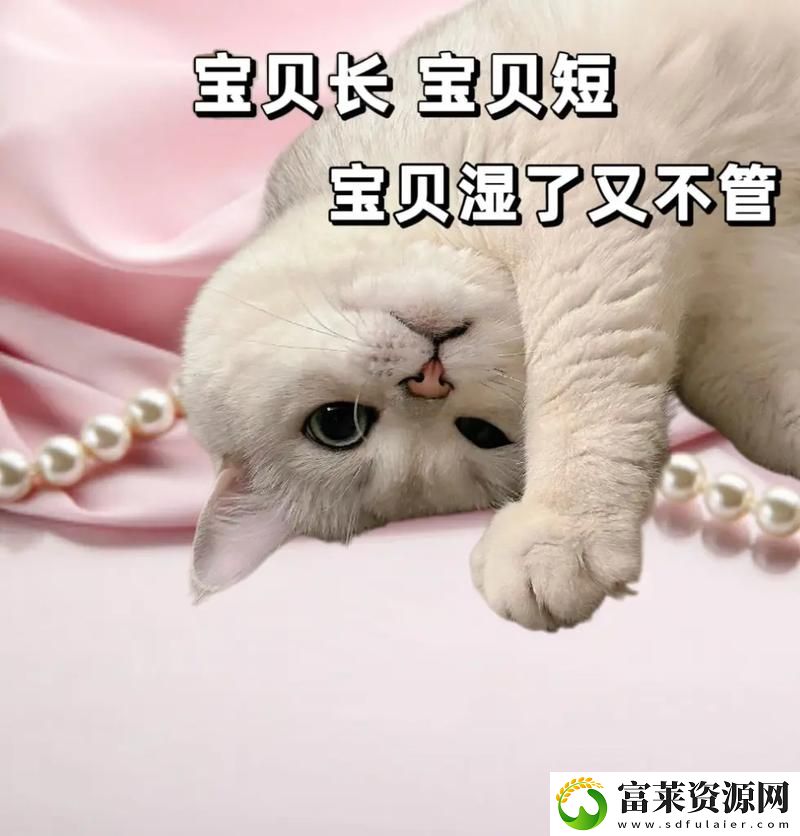 宝贝几天没C你了
