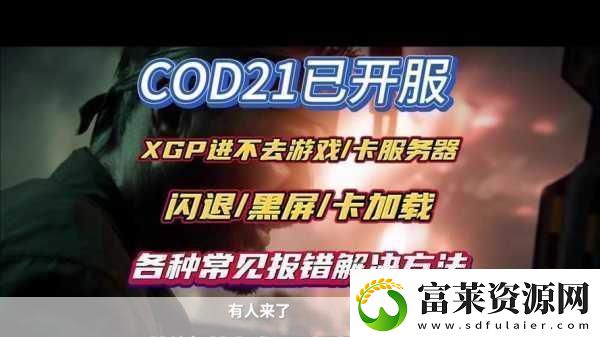 使命召唤9豪华版黑屏的解决方法