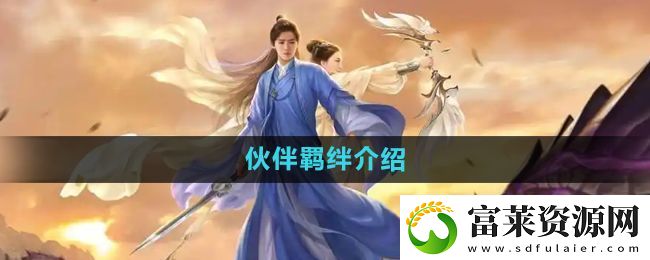 择天记手游伙伴羁绊是什么