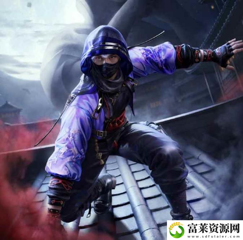 全面赛场
