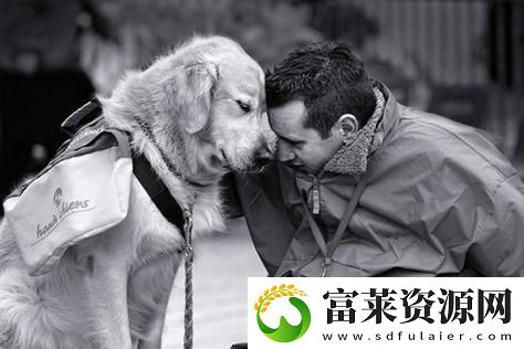 人物动物交互狗剧情