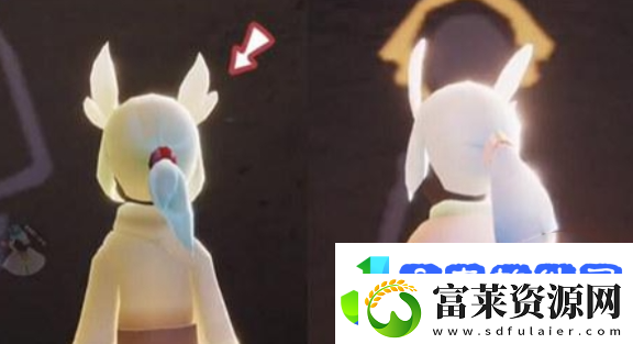光遇白鸟和白枭区别介绍