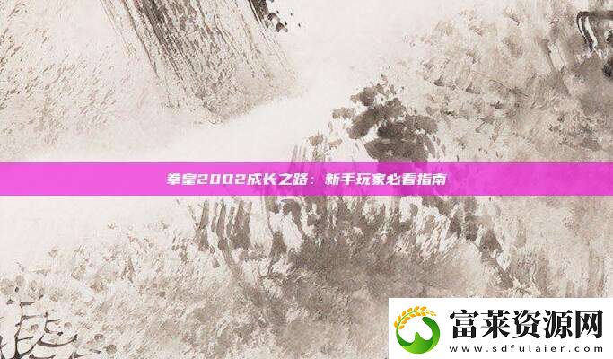 拳皇2002成长之路