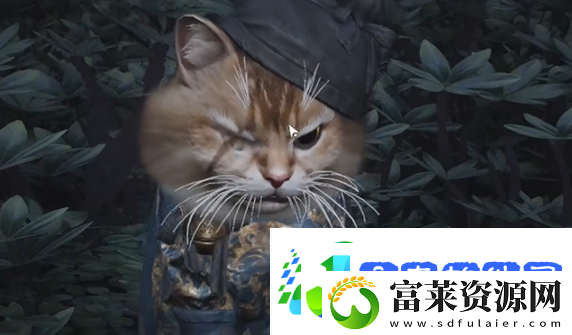 燕云十六声七阀坡猫咪在哪燕云十六声七阀坡猫戏全收集攻略