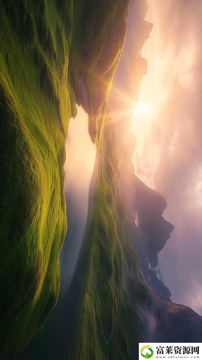 大地资源