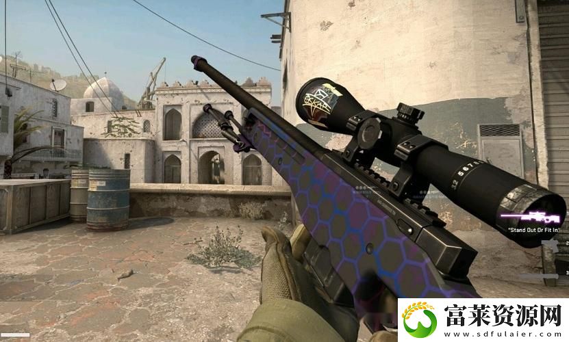 日本CSGO大姐姐AWP