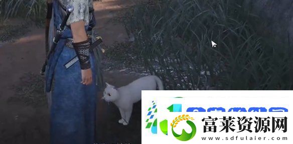 燕云十六声七阀坡猫咪在哪燕云十六声七阀坡猫戏全收集攻略